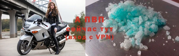 крисы Белокуриха
