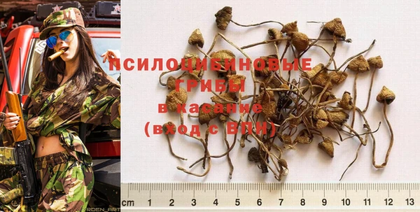 крисы Белокуриха