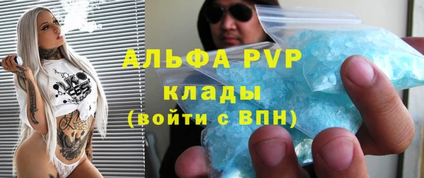 крисы Белокуриха