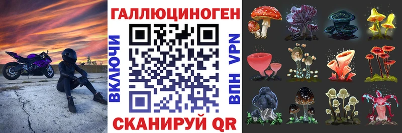 Псилоцибиновые грибы мухоморы Кодинск